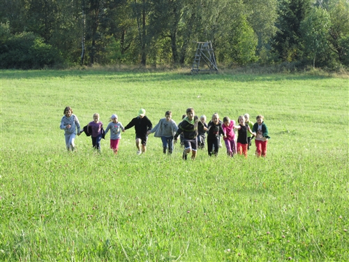 Obrázek v galerii